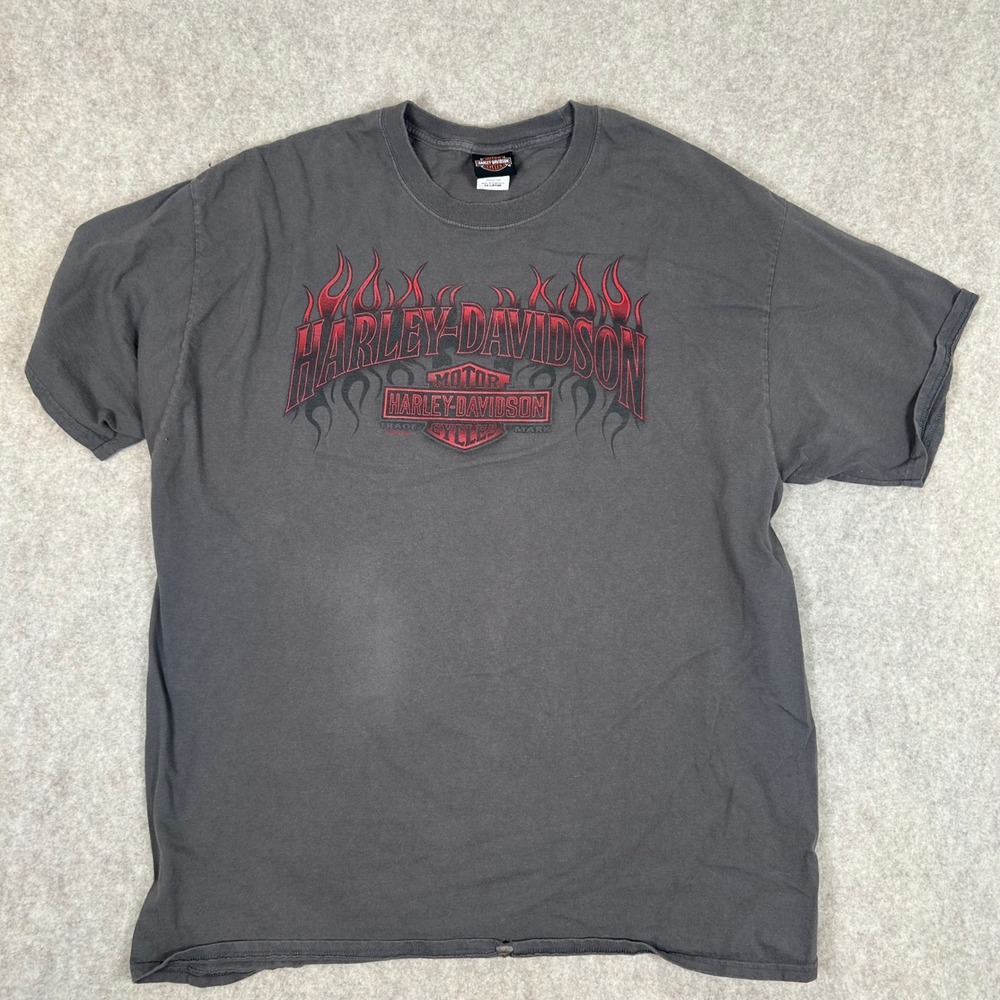 Harley-Davidson T-Shirt Mens 2XL Gray Red Flame Graphic Harley Haven SC 0981
